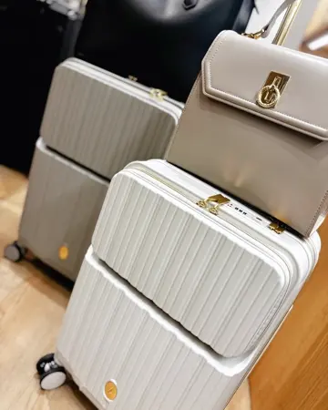 …師匠 ⭐️BYBIT キャリーケース　バッグ　セット　バイビット 楽天市場】ペット用キャリーバッグ 折りたたみ ショルダー