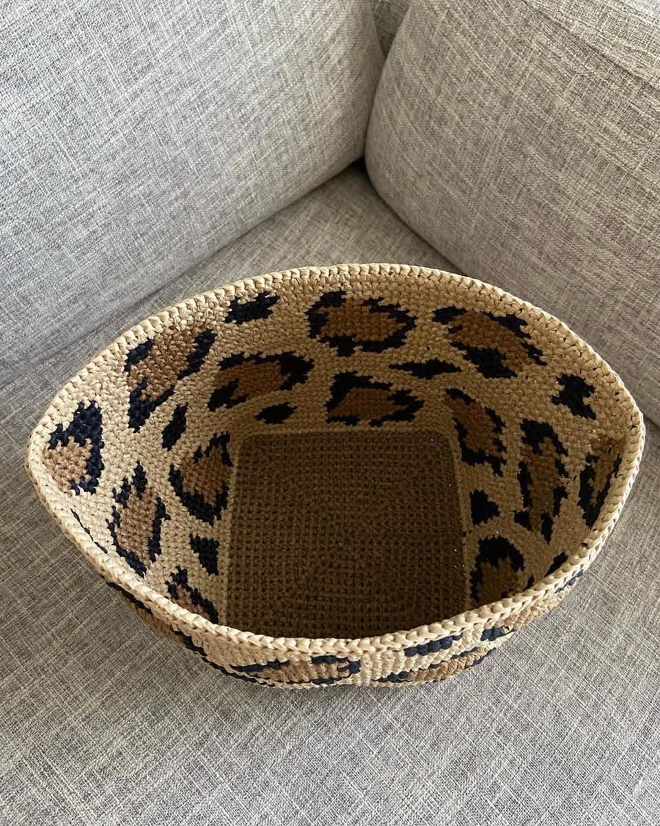 Noah / ノア – BEYOND THE REEF