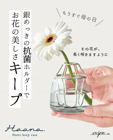 オファーOkay花瓶 花瓶（オブジェ）spiky