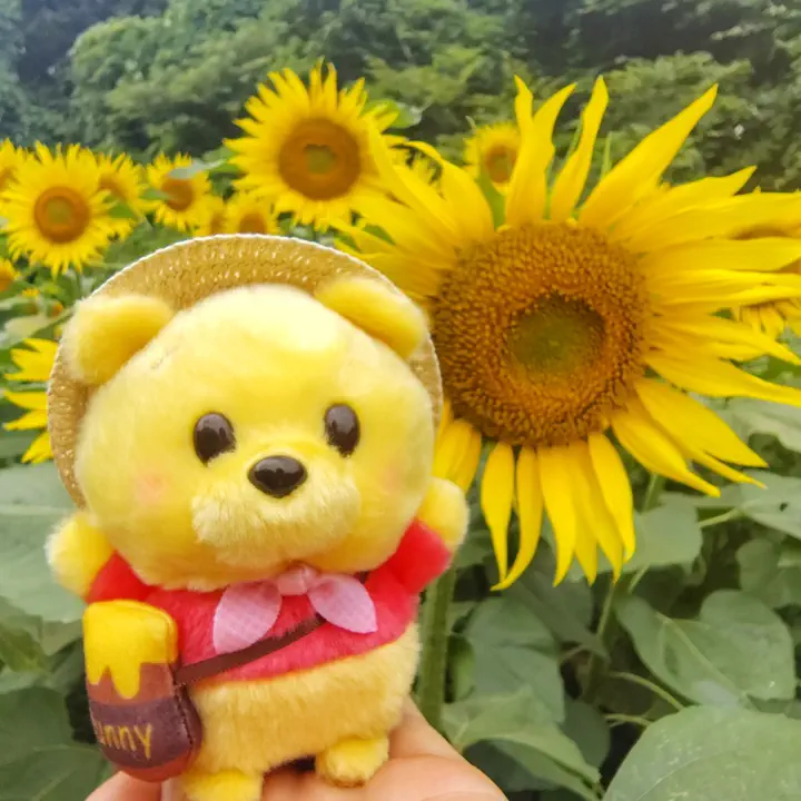 公式】ディズニーストア.jp | プーさん ぬいぐるみ うるぽちゃちゃん