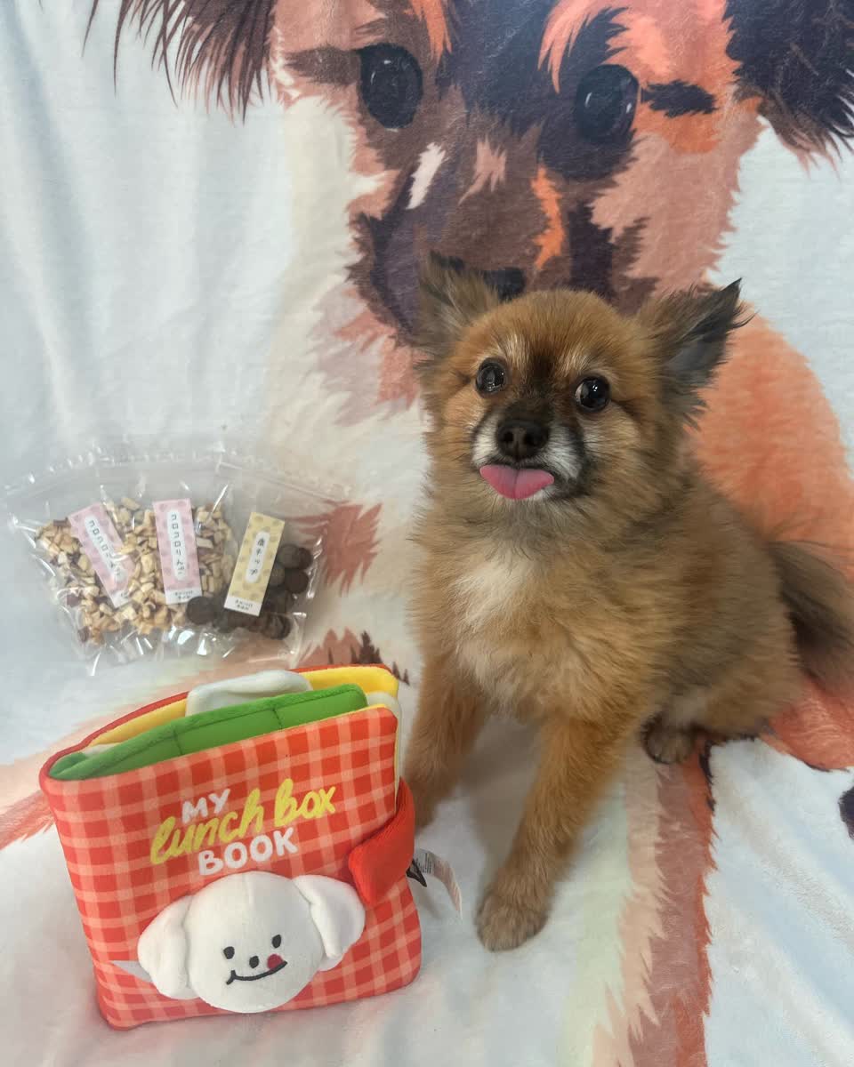 オーラバイオブラシ MINI(ミニ) ローズセット