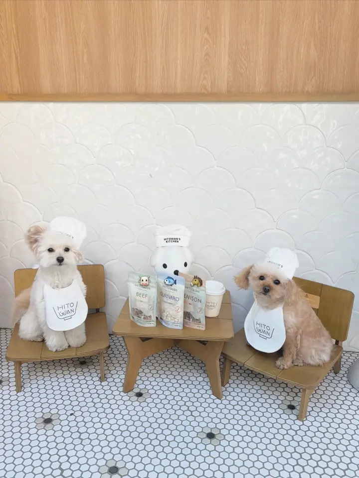 りんご 犬用無添加おやつ｜青森県産無農薬 サクサク 低脂質 ダイエット