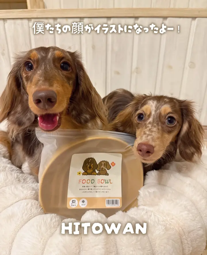 バイトミー バディーベア｜詰め替え付き ピーピー音 おやつ隠せる 犬用