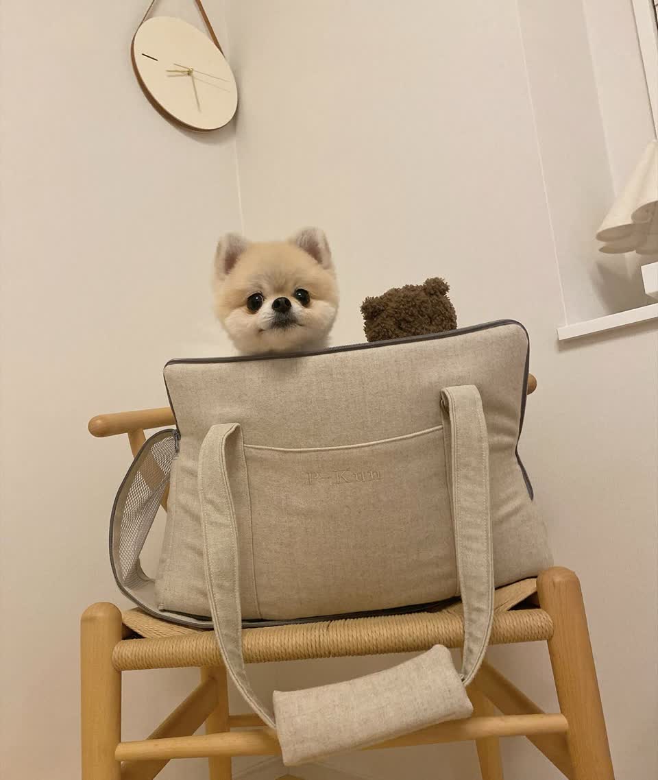 スタジオチェアー イプシロン 椅子 持たさ 