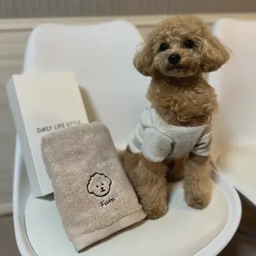 海外犬服 高品質なインポートのドッグウェア通販【BM WORLD】ネーム