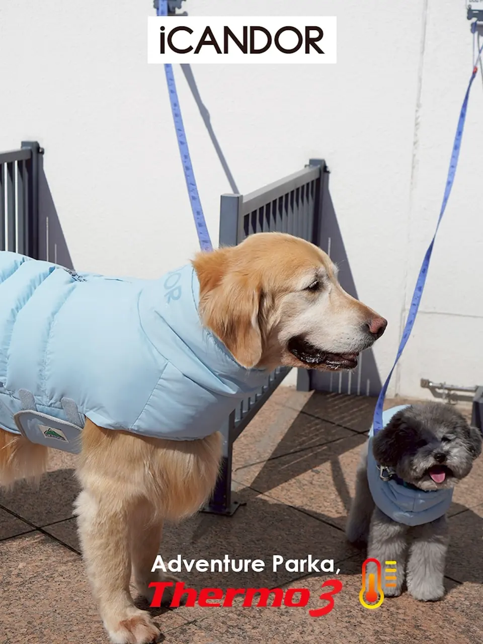 urbandogtokyoの投稿(1432112841623613440)