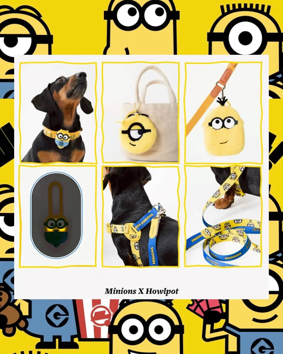 urbandogtokyoの投稿(1432973803662618624)