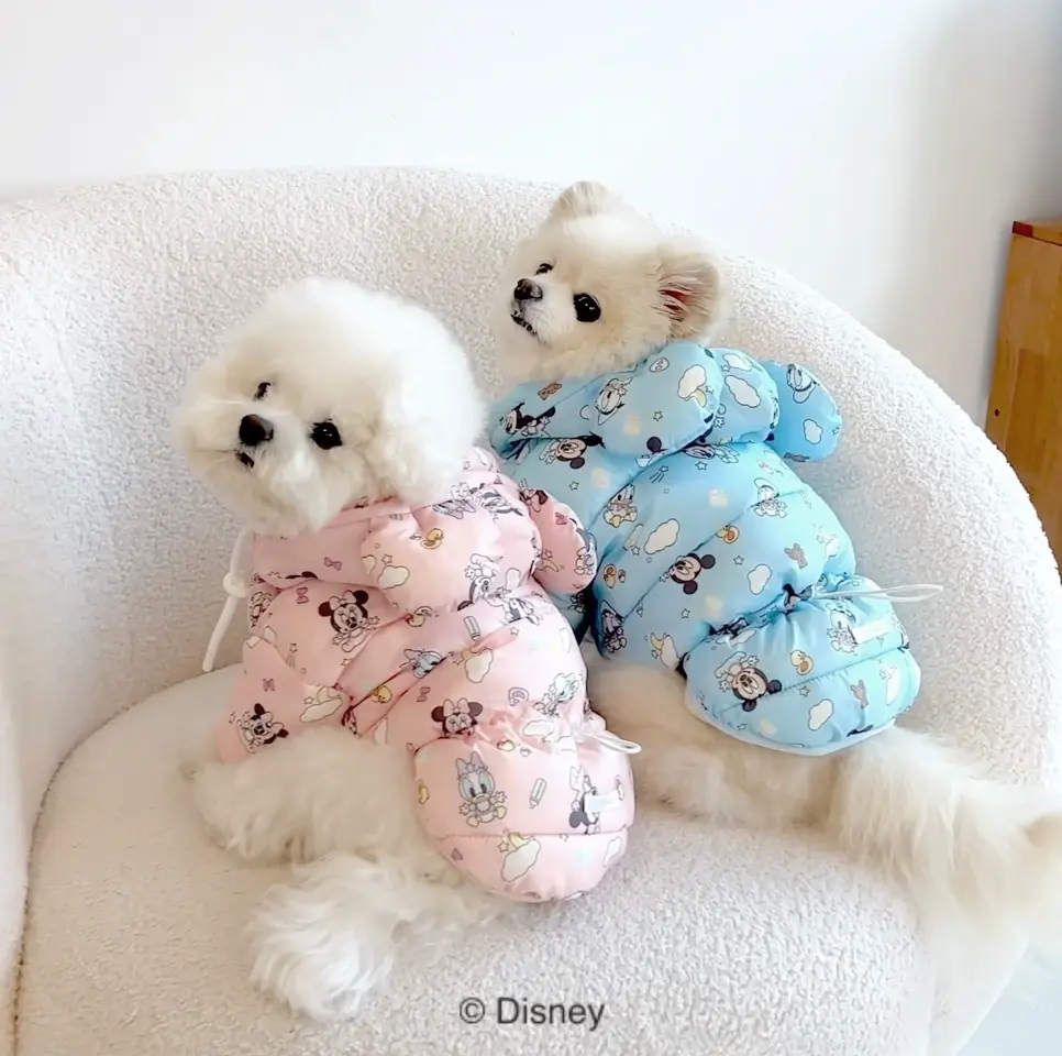 urbandogtokyoの投稿(1438047282313342976)