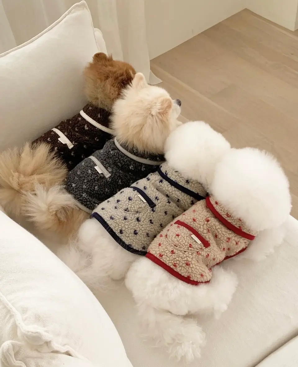 urbandogtokyoの投稿(1441308524142407680)