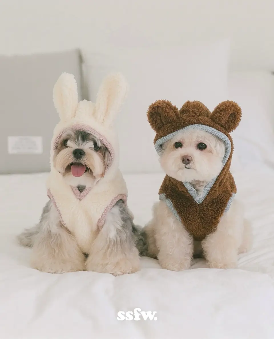 urbandogtokyoの投稿(1442259687826272256)