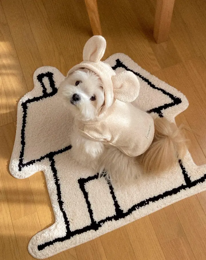 海外犬服 高品質なインポートのドッグウェア通販 