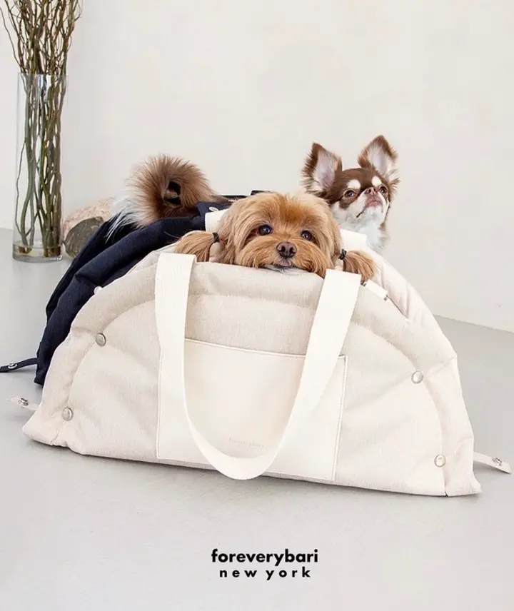 海外犬服 高品質なインポートのドッグウェア通販 