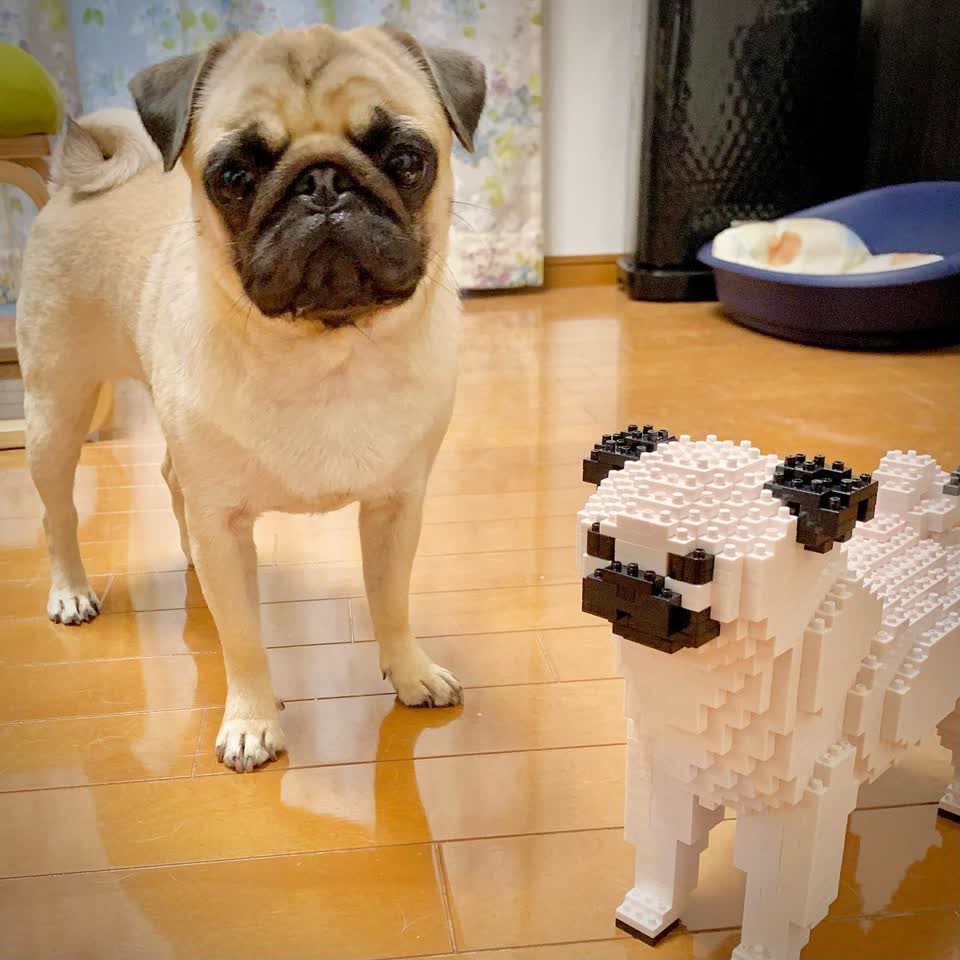 DOGシリーズ – JEKCA-SHOP 