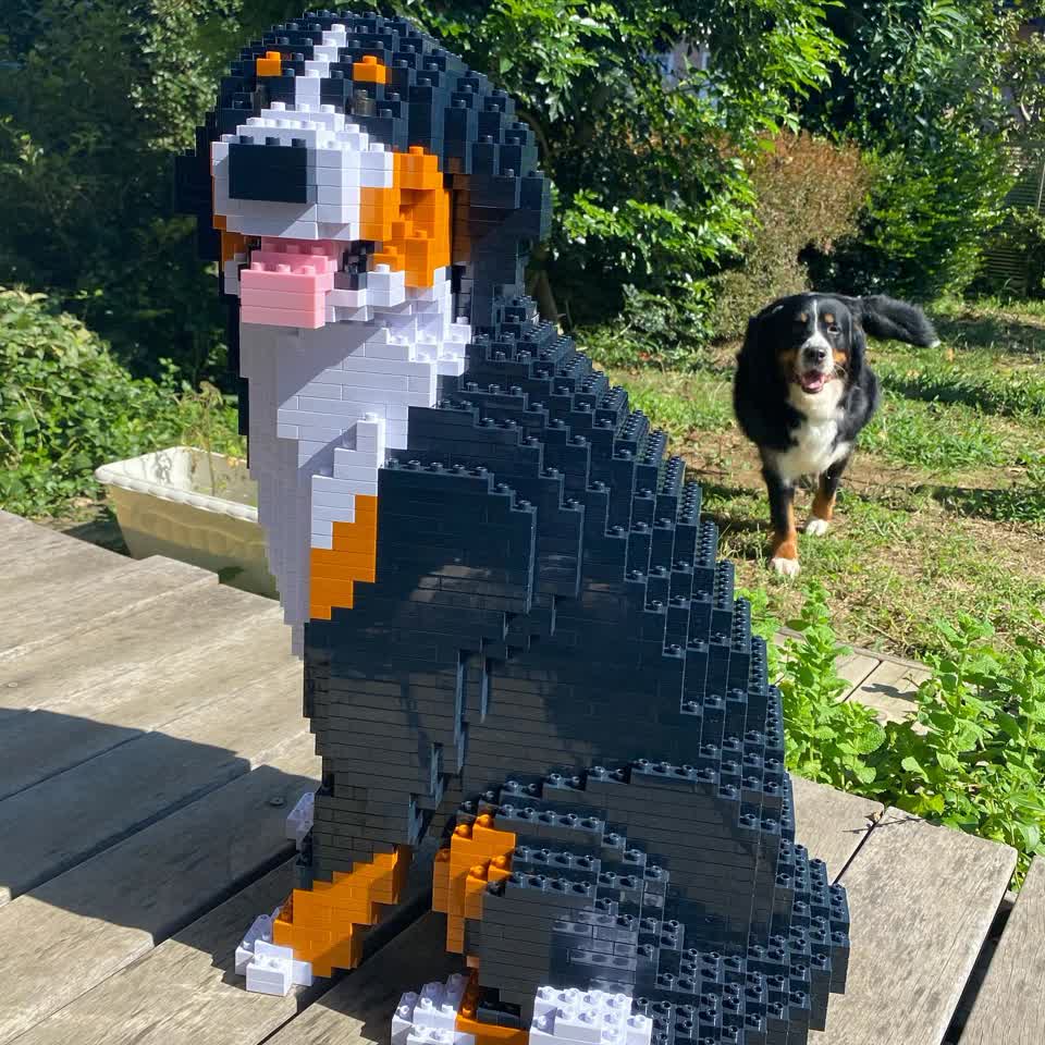 ジェネ犬　まとめ売り　その前 GENERATIONS ジェネ犬まとめ売り