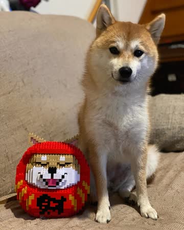 17962643201293894_1_t_360.jpg?