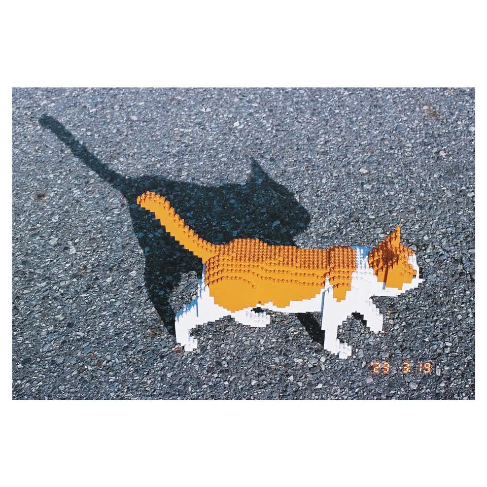 ミーアキャット 01S / 01C – JEKCA-SHOP