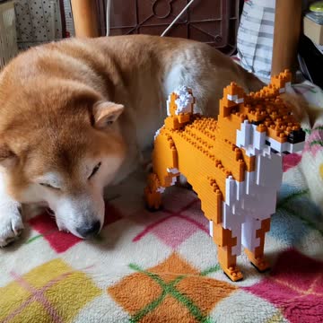 柴犬 ドイツ・ケーセン社 動物ぬいぐるみ 柴犬・赤（立ち）（しばいぬ