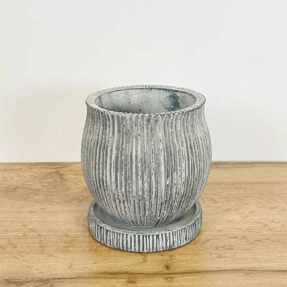 陶器 宝石のような観葉植物のお店 【Jewelry Plant】 陶器鉢 4号