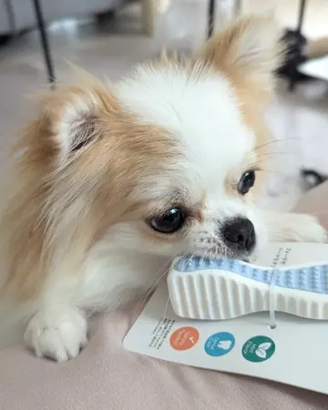 ニュートロ シュプレモ 全犬種用 [成犬用] Pets-first ONLINESTORE