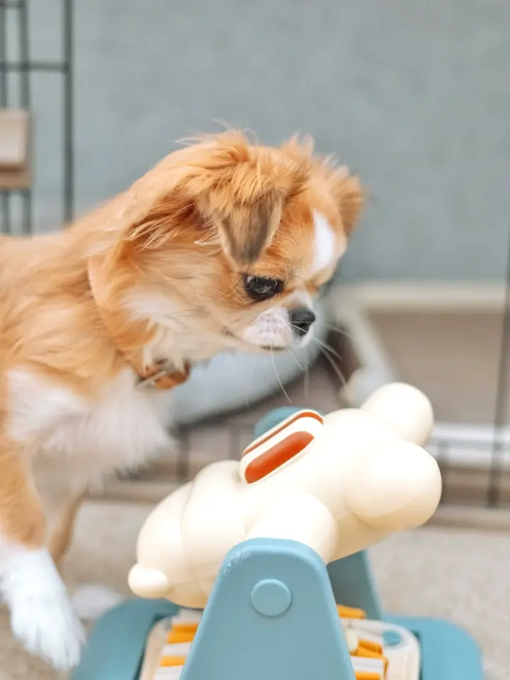 ペッツファーストオリジナル】オリジナルクッションベッド Pets-first