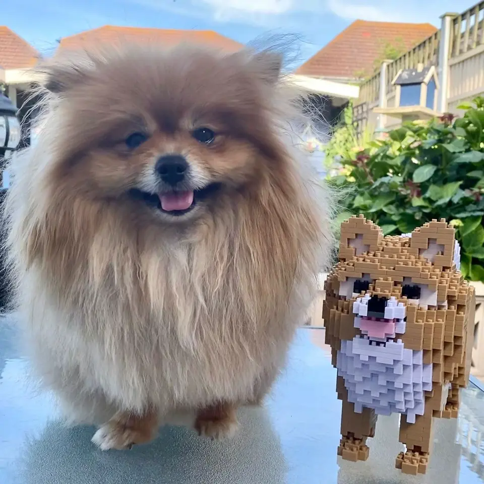 【ペコ】 Rolex GMT-Master II 