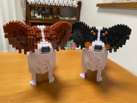 Papillon Dog 01-M01 - JEKCA | Plastic Building Blocks for Kidults