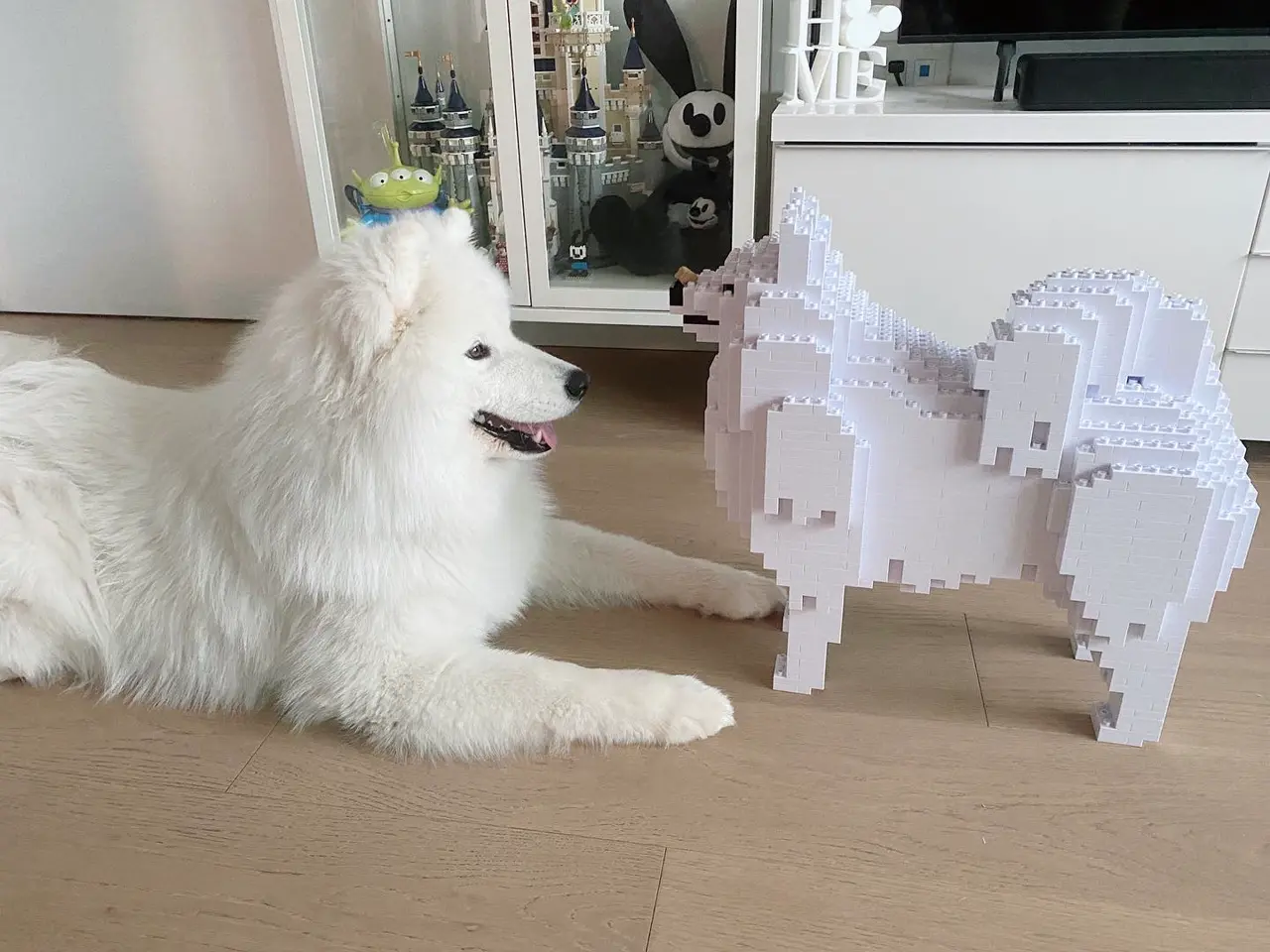 Samoyed 01 - JEKCA | Plastic Building Blocks for Kidults – JEKCA US