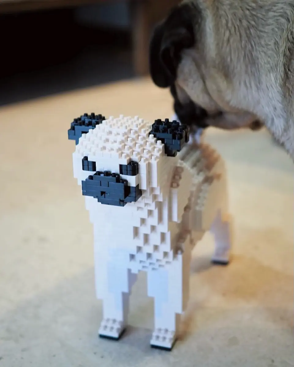 パグ獣 あきぱぐ PUG JYU 新作 モコ獣 ソフビ あきぱぐ PUG JYU パグ獣 モコ獣 ソフビ