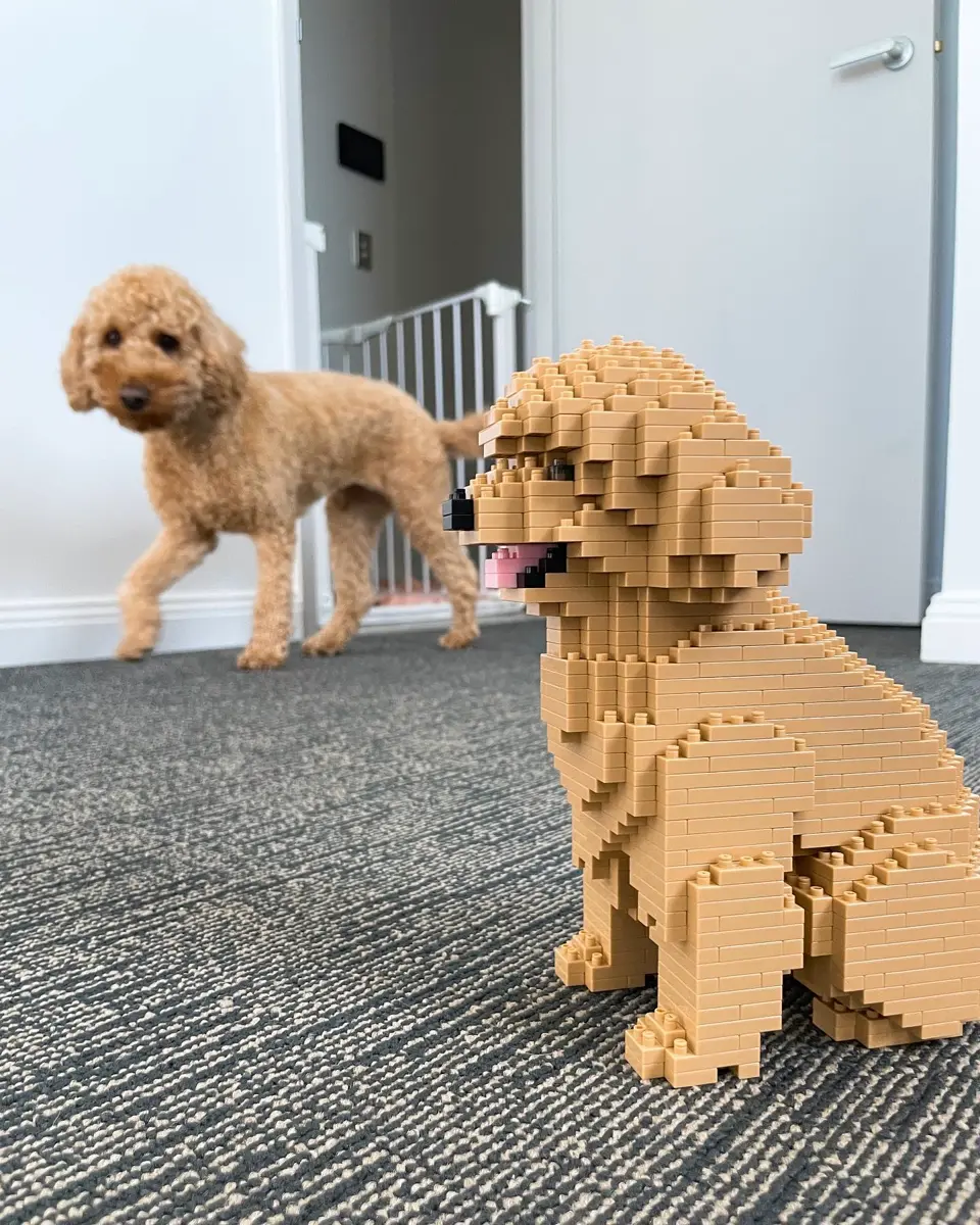 Toy Poodle 05-M02 - JEKCA | Plastic Building Blocks for Kidults