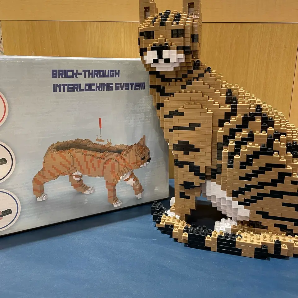 Cat 02S-M04 - JEKCA | Plastic Building Blocks for Kidults – JEKCA US