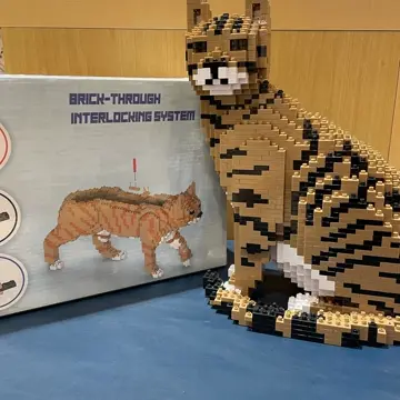 CAT★ Cat 02S-M04 - JEKCA | Plastic Building Blocks for Kidults – JEKCA US