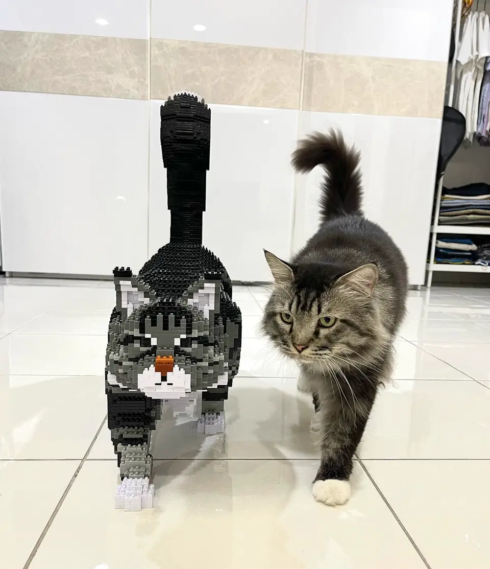 Maine Coon 01S-M03 JEKCA Plastic Building Blocks for Kidults