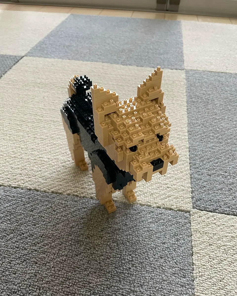 JEKCA Welsh Corgi Mini 01S - Set Di Blocchi Da Costruzione Per Cane In Plastica - Oltre 420 Pezzi - Età 14+ - 4