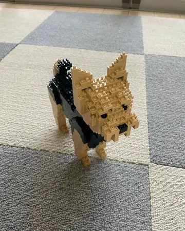 Yorkshire Terrier 01 - JEKCA | Plastic Building Blocks for
