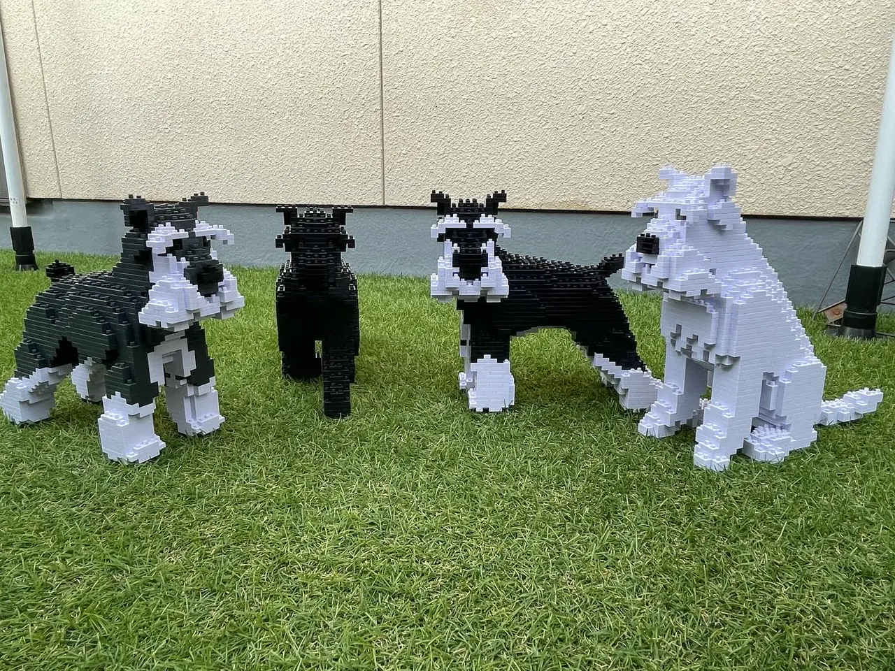 JEKCA English Bulldog 4-in-1 Pack 01-M02 Standard Size
