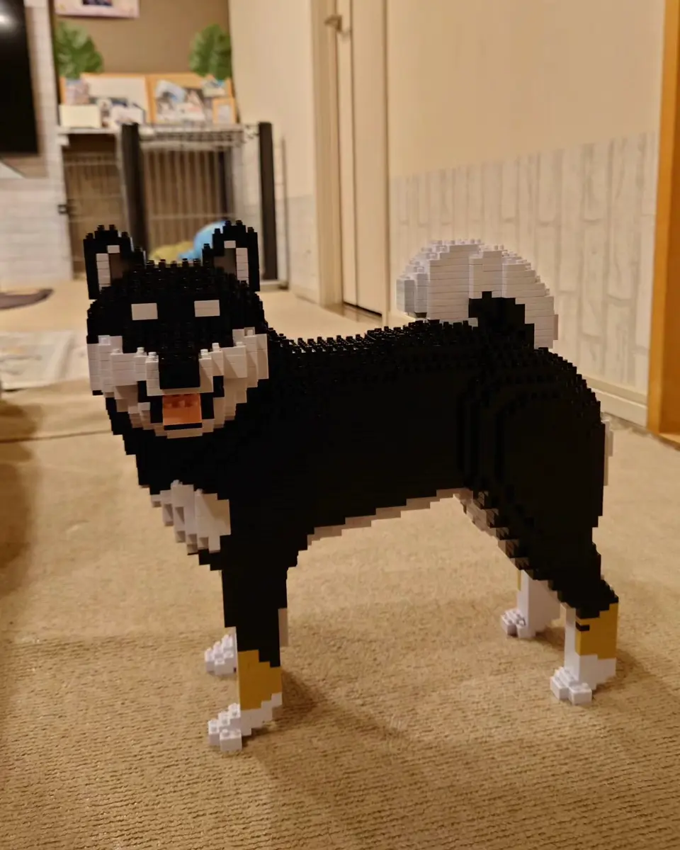 Shiba Inu 02-M02 - JEKCA | Plastic Building Blocks for Kidults