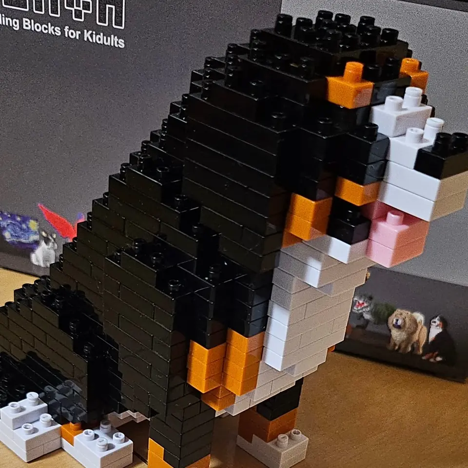 Bernese Mountain Dog 03B - JEKCA | Plastic Building Blocks for