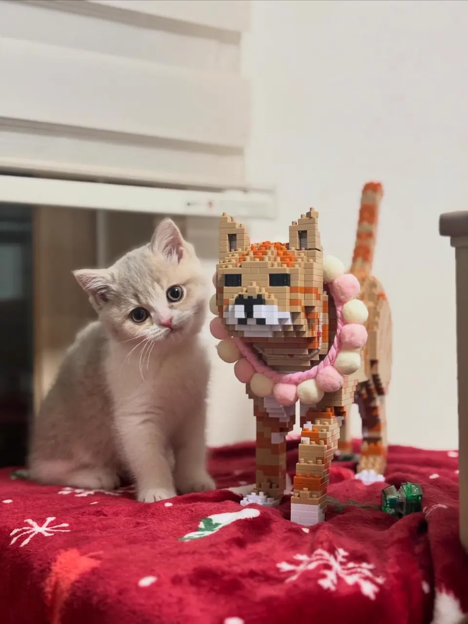 Orange Tabby Cat Mini 01 - JEKCA | Plastic Building Blocks for