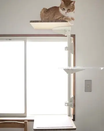 公式】[【公式】キャットタワー専用 アクリル棚板 (ガラスエッジ