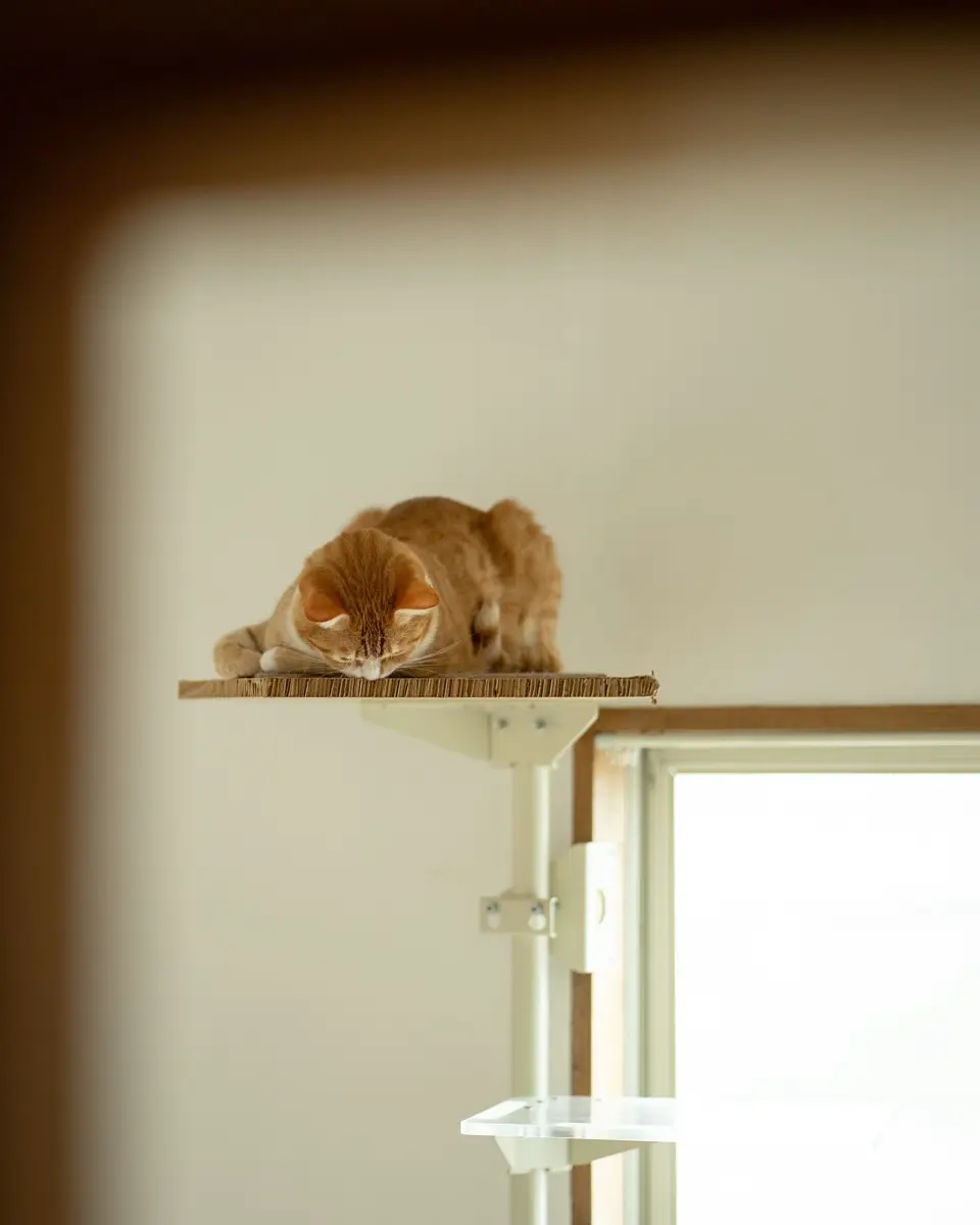 ユニークライフ】｜キャットタワー｜Uniquelife | 設置例100選