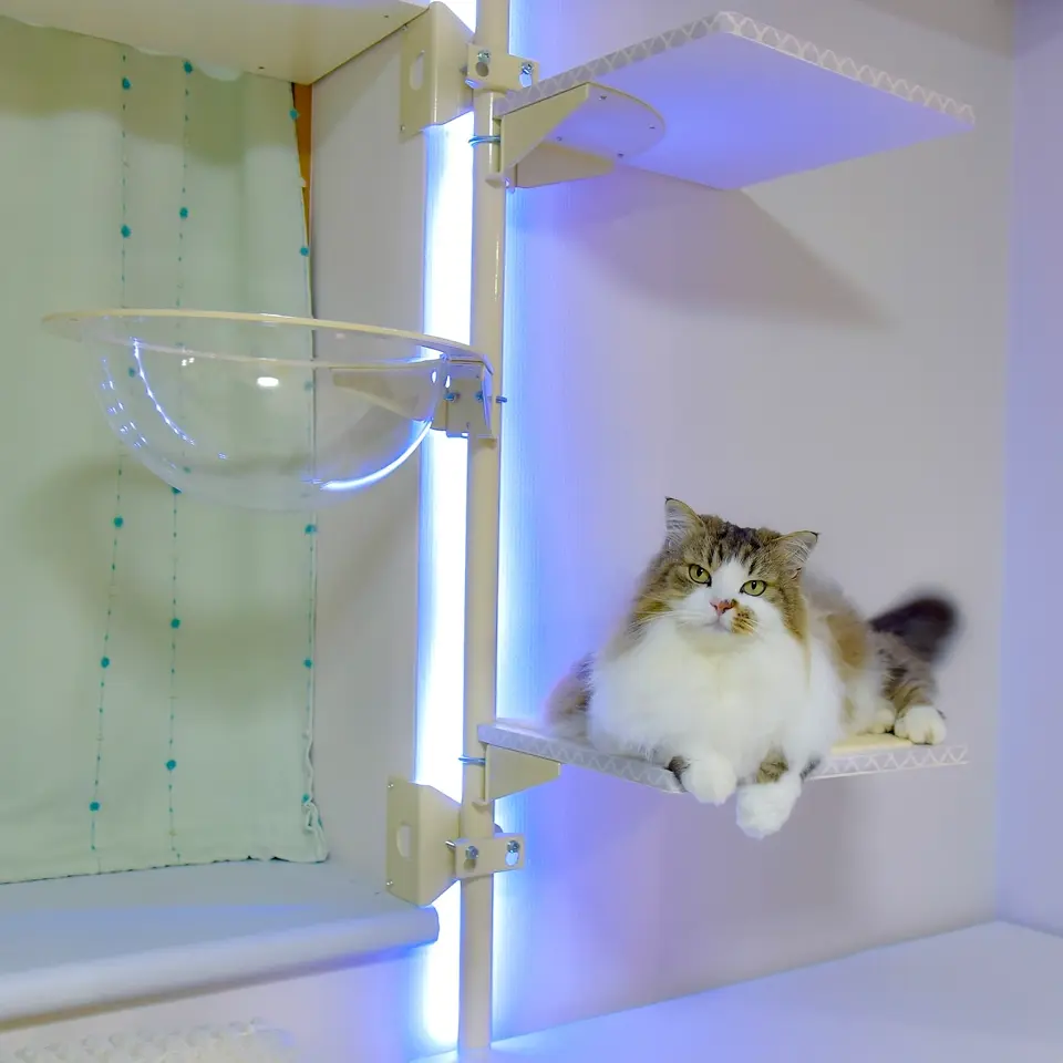 ねこゴロン セット商品紹介ページ