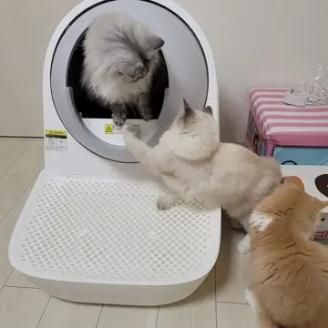 自動猫トイレ CATLINK SCOOPER YOUNG（キャットリンクスクーパーヤング