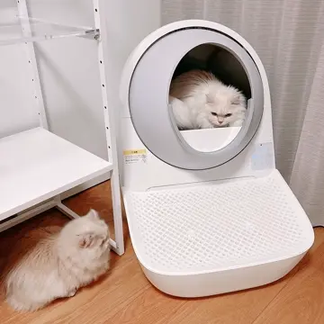 自動猫トイレ CATLINK SCOOPER YOUNG（キャットリンクスクーパーヤング