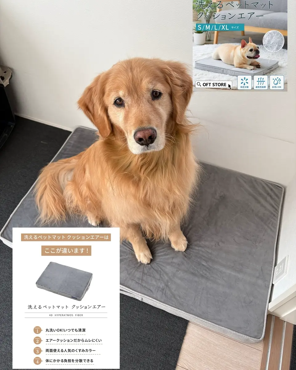洗えるペットマット クッションエアー 替えカバー – OFT STORE