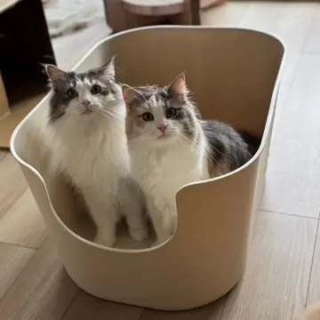 ねこ 両開き戸 鍵 後付け ねこの安心扉ロック 観音開き 地震 いたずら