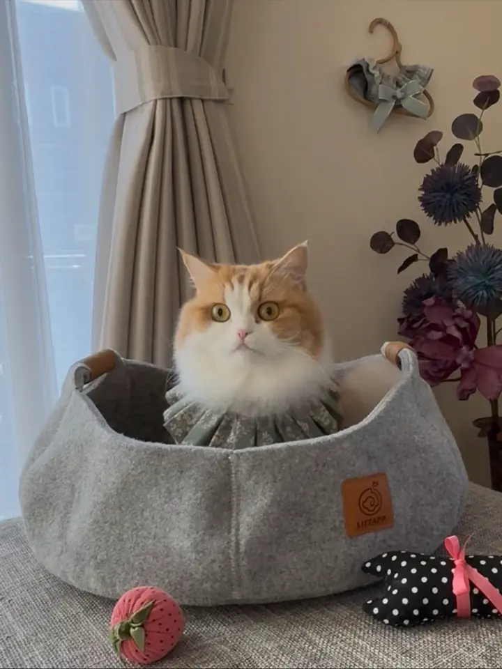 オーエフティー オーバーサイズハイスピードプーリー【92mm】14.3度【スーパーDIOZX