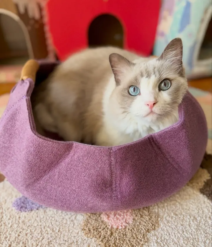 ペット用品の通販 OFT STORE（オーエフティーストア）公式サイト