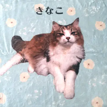ねこかぞく ｜ 愛猫のオリジナルグッズが簡単に作れる
