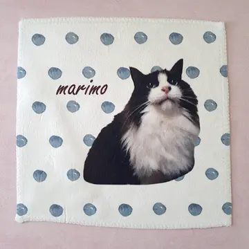 ねこかぞく ｜ 愛猫のオリジナルグッズが簡単に作れる