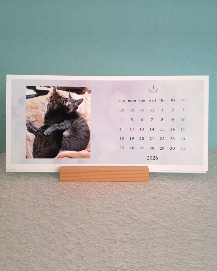 ねこかぞく ｜ 愛猫のオリジナルグッズが簡単に作れる